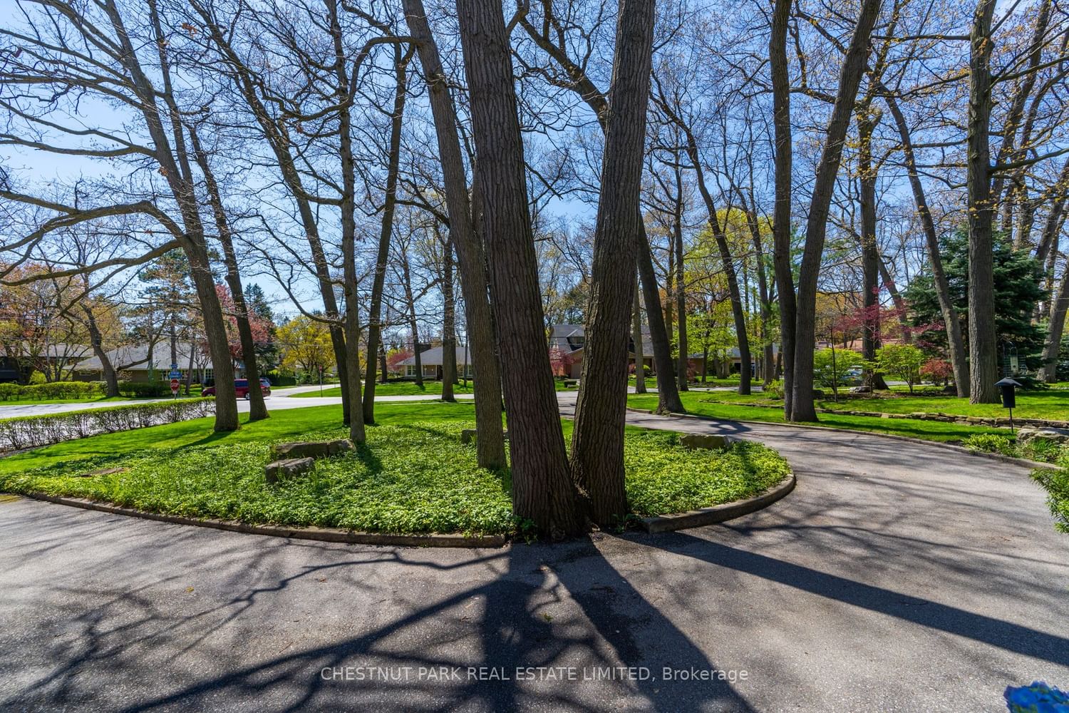 407 The Kingsway for sale in Edenbridge | Humber Valley - image #4