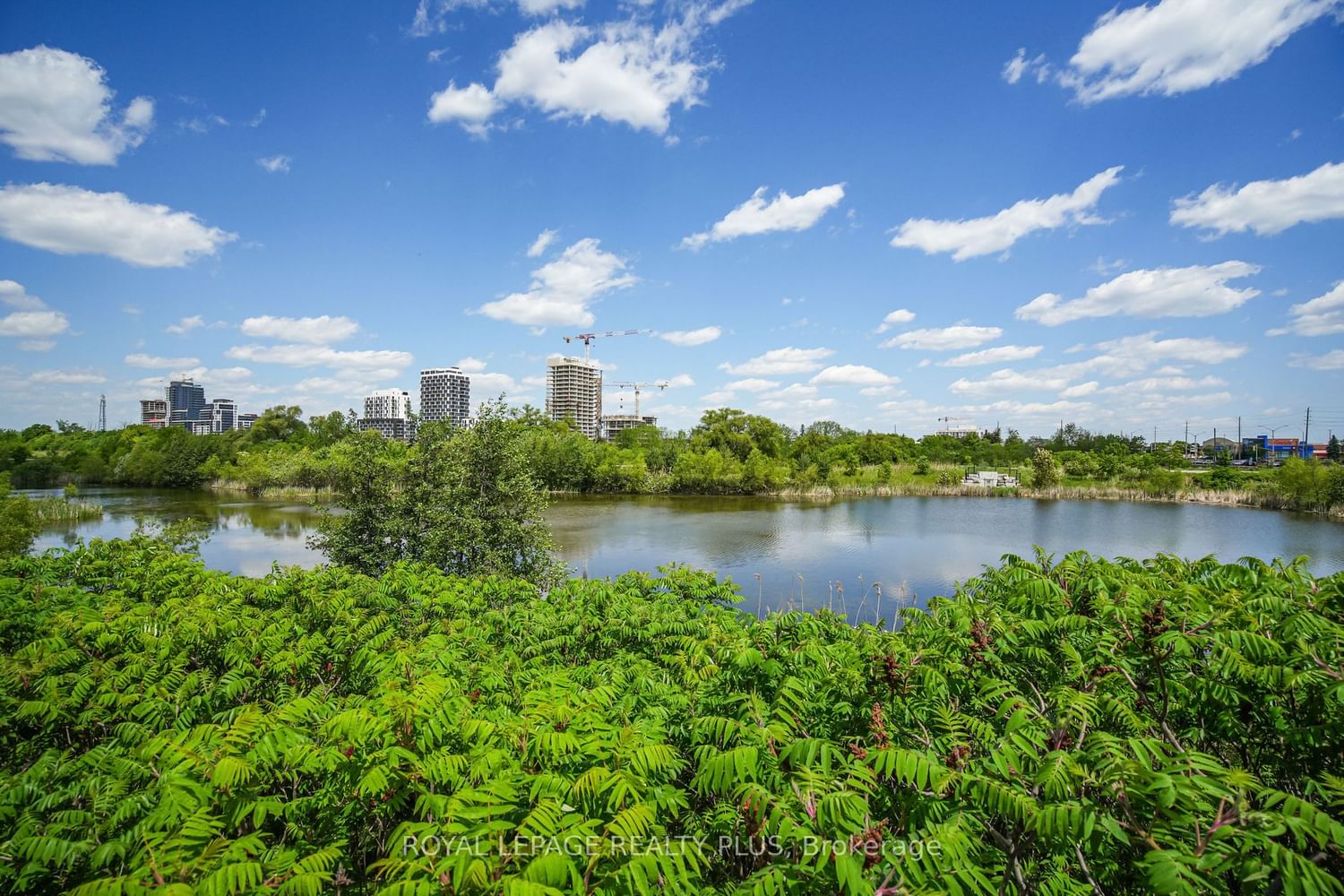 210 Sabina Dr, unit 214 for sale - image #3