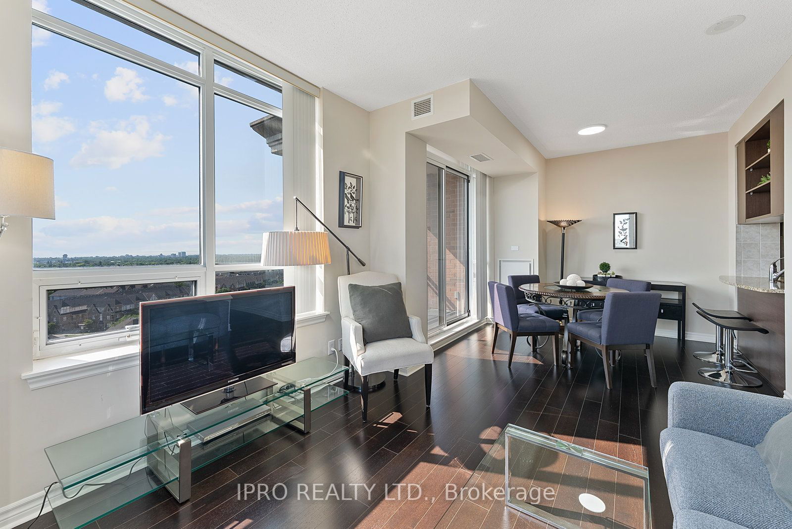 2391 Central Park Dr, unit 1111 for sale - image #12