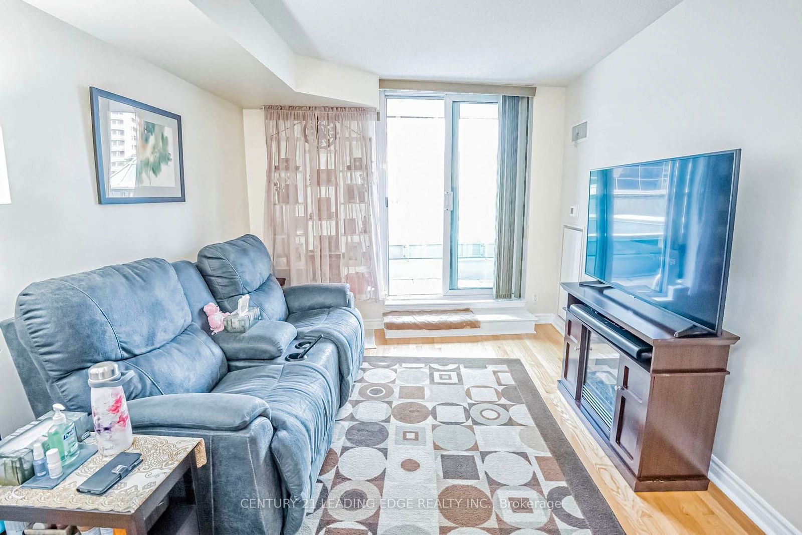 33 Elm Dr W, unit 310 for sale - image #13