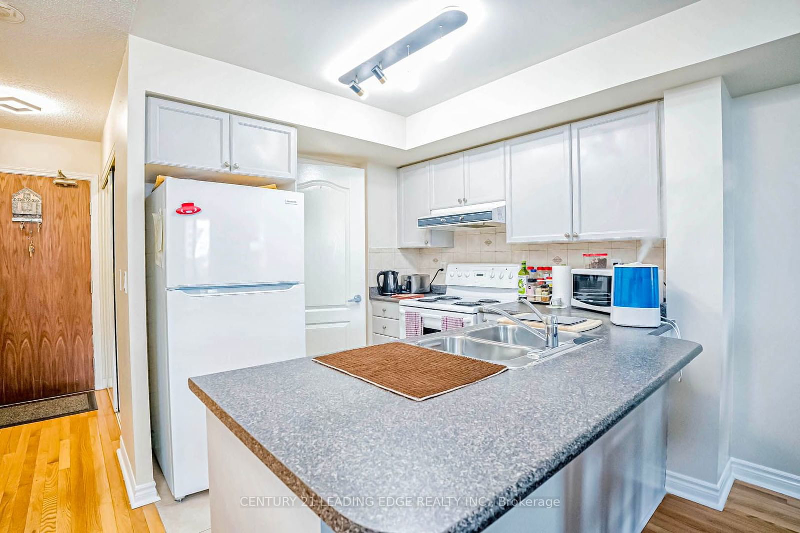 33 Elm Dr W, unit 310 for sale - image #18