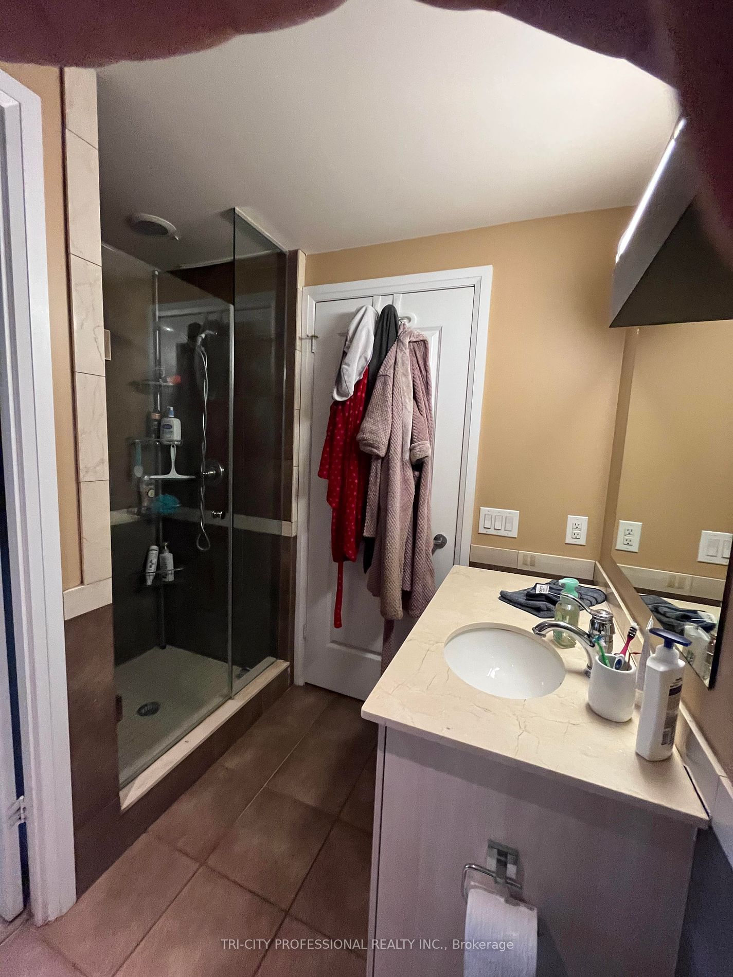 1055 Southdown Rd, unit 1203 for rent - image #8