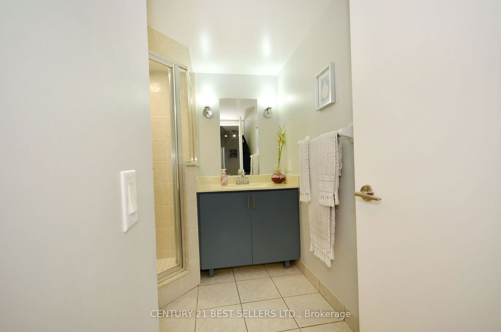 25 Viking Lane, unit 248 for sale - image #11