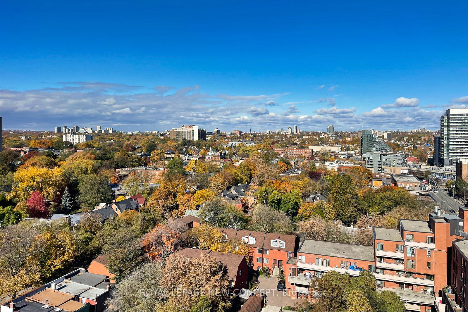 270 Dufferin St, unit 1215-Br for rent