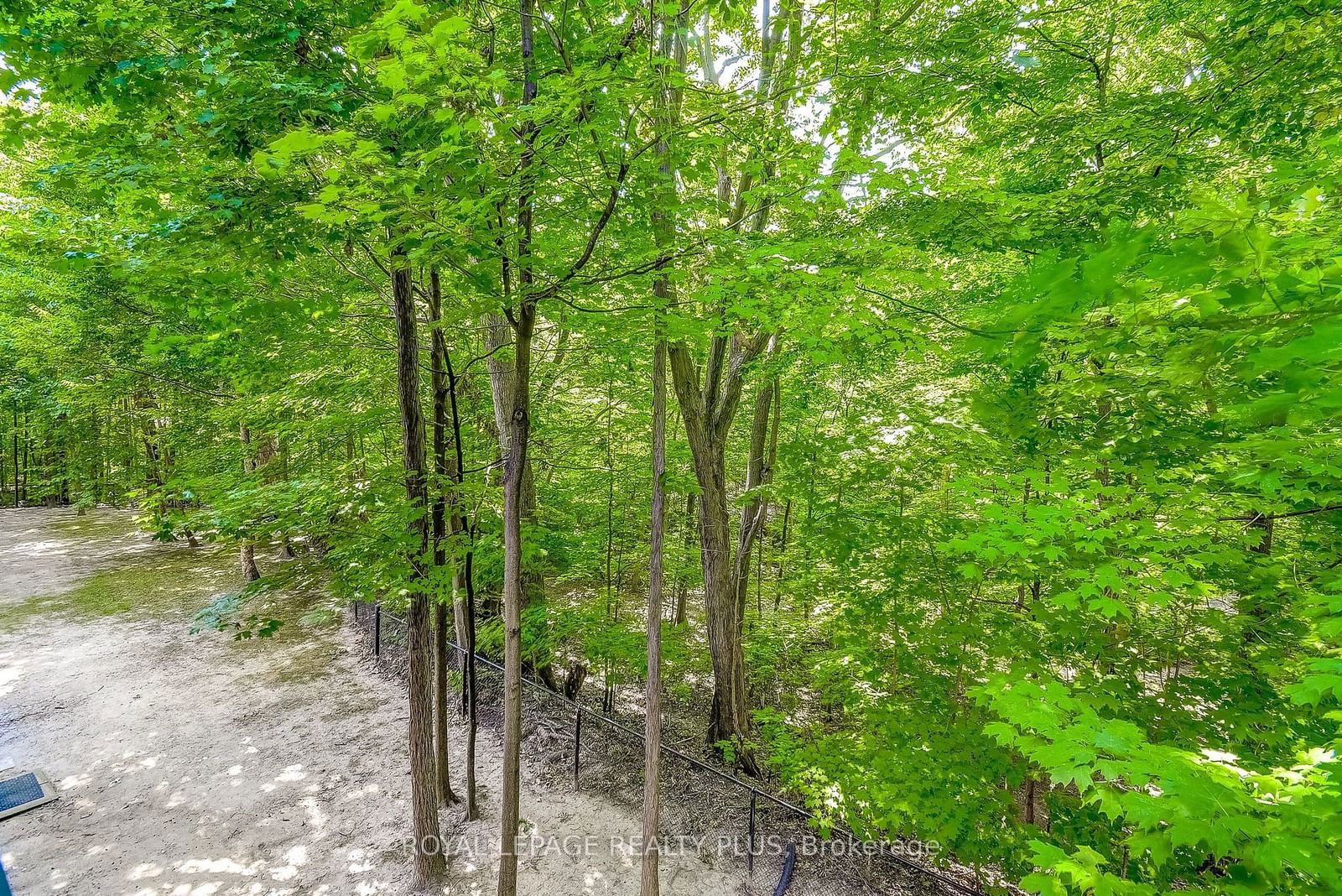 Forest Chase Condos, Burlington, Toronto