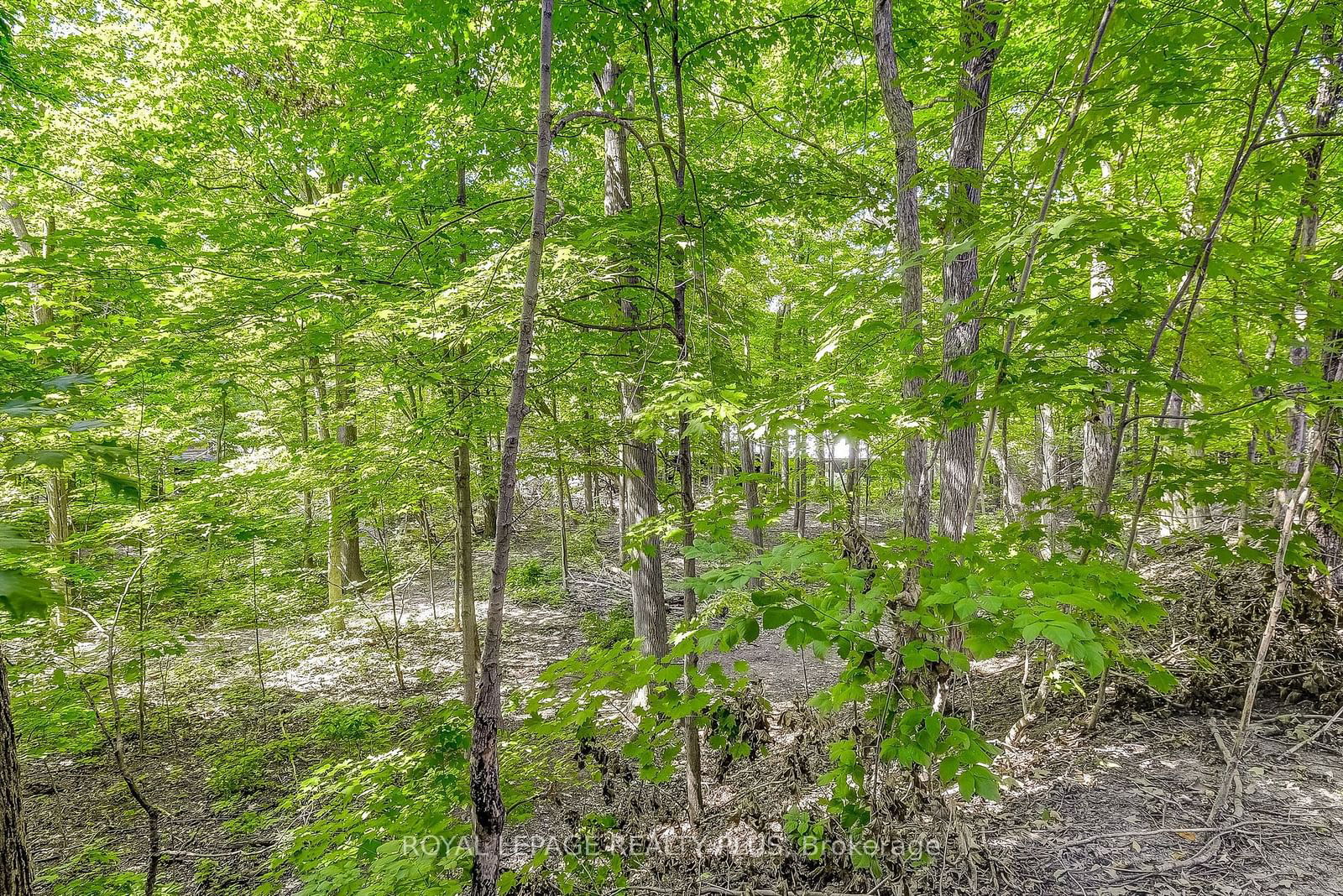 Forest Chase Condos, Burlington, Toronto