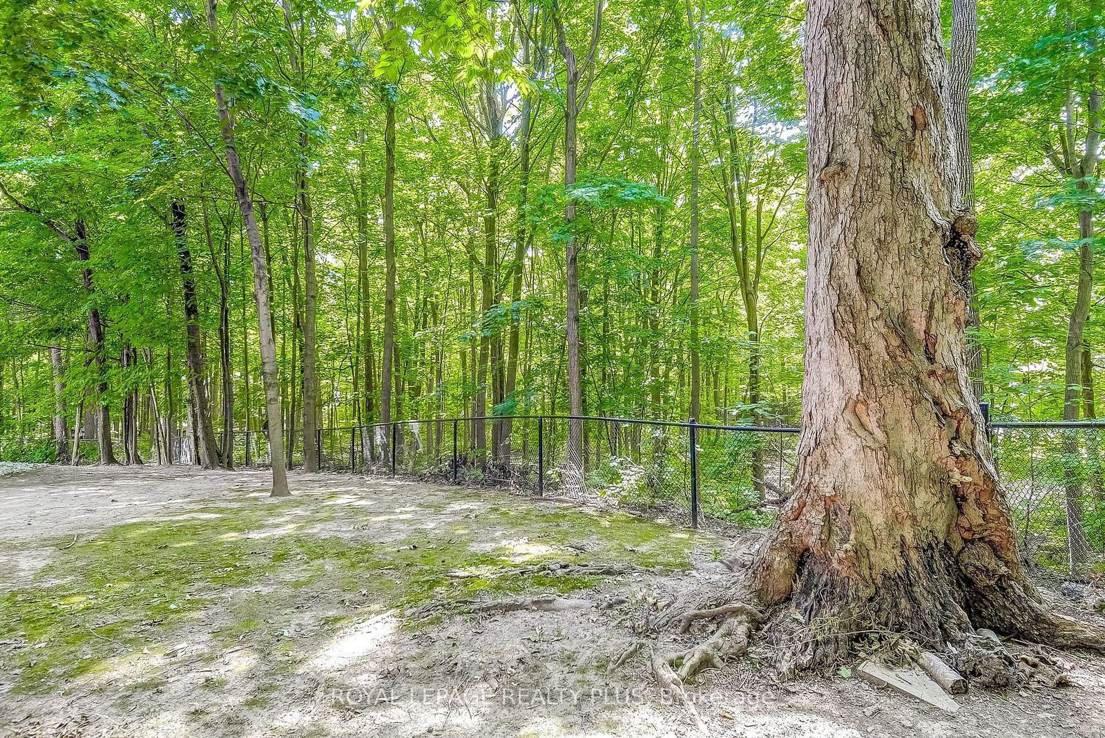 Forest Chase Condos, Burlington, Toronto