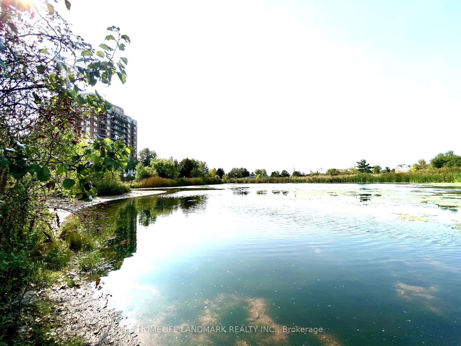 2325 Central Park Dr, unit 1009 for rent