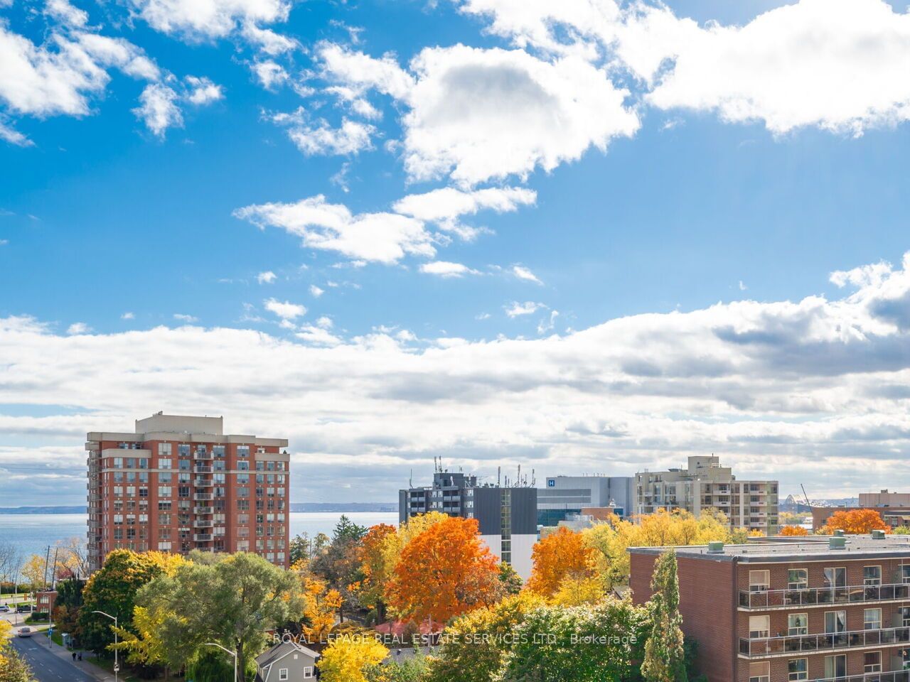 The Maples Condos, Burlington, Toronto