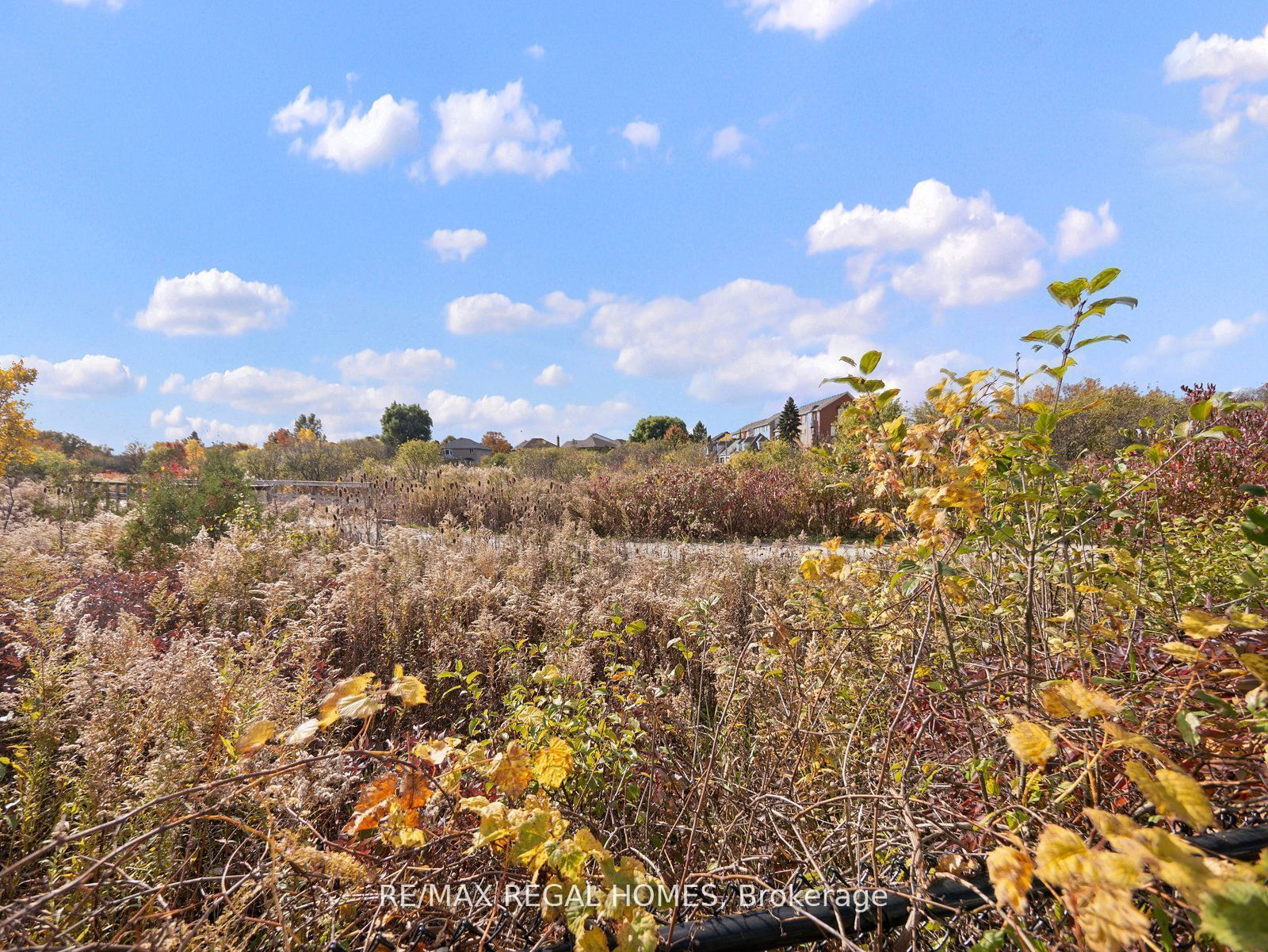 Block 55 Townhomes, Oakville, Toronto