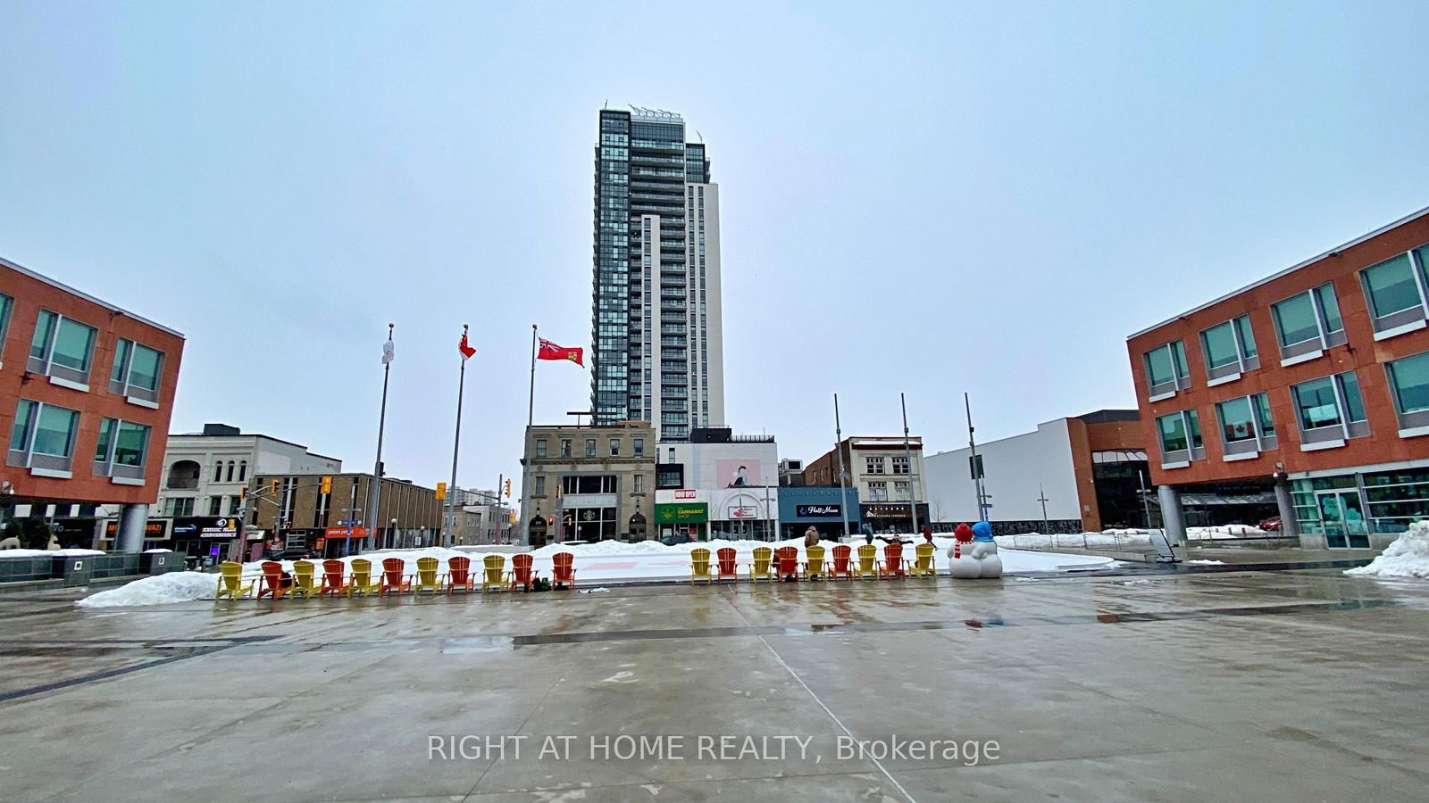 60 Charles St W, unit 2005 for rent