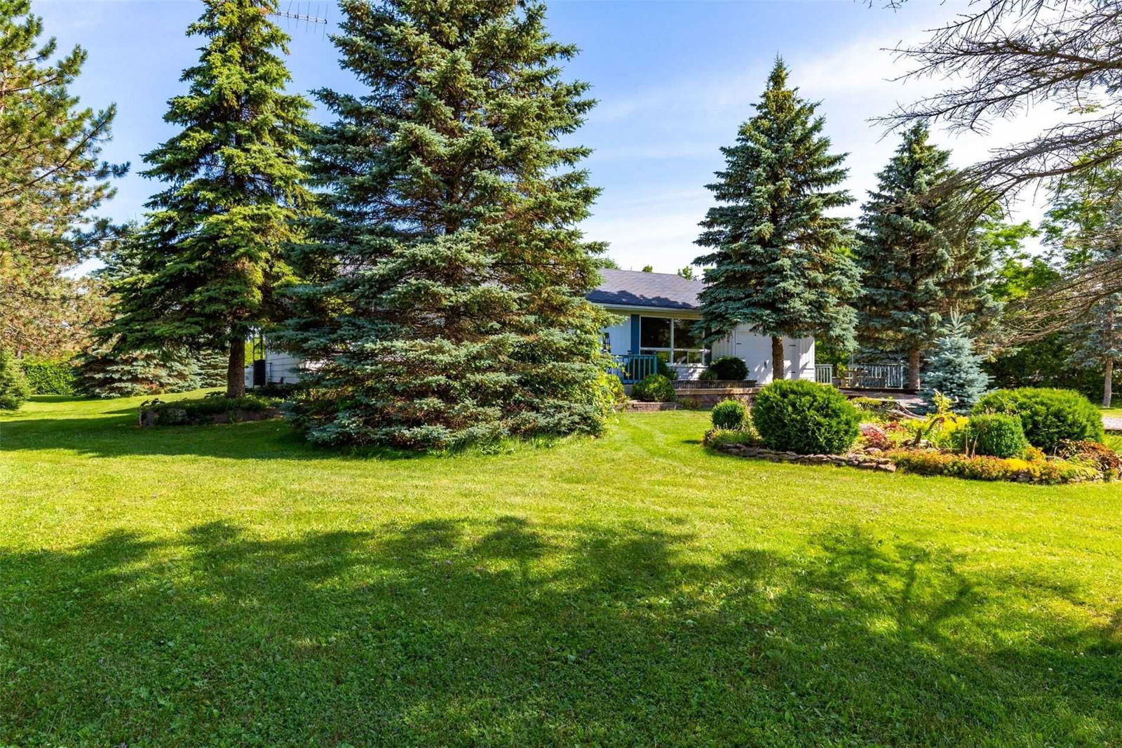 65 Whitetail Rd for sale  - image #2
