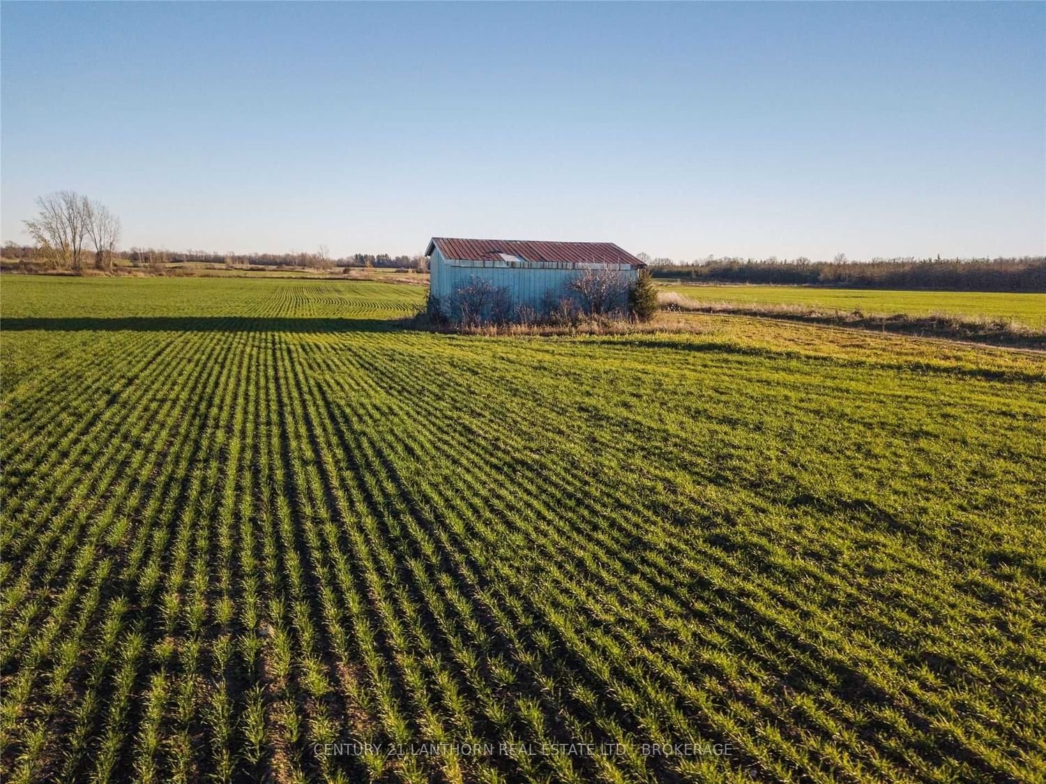 1244 County Road 7 for sale  - image #12