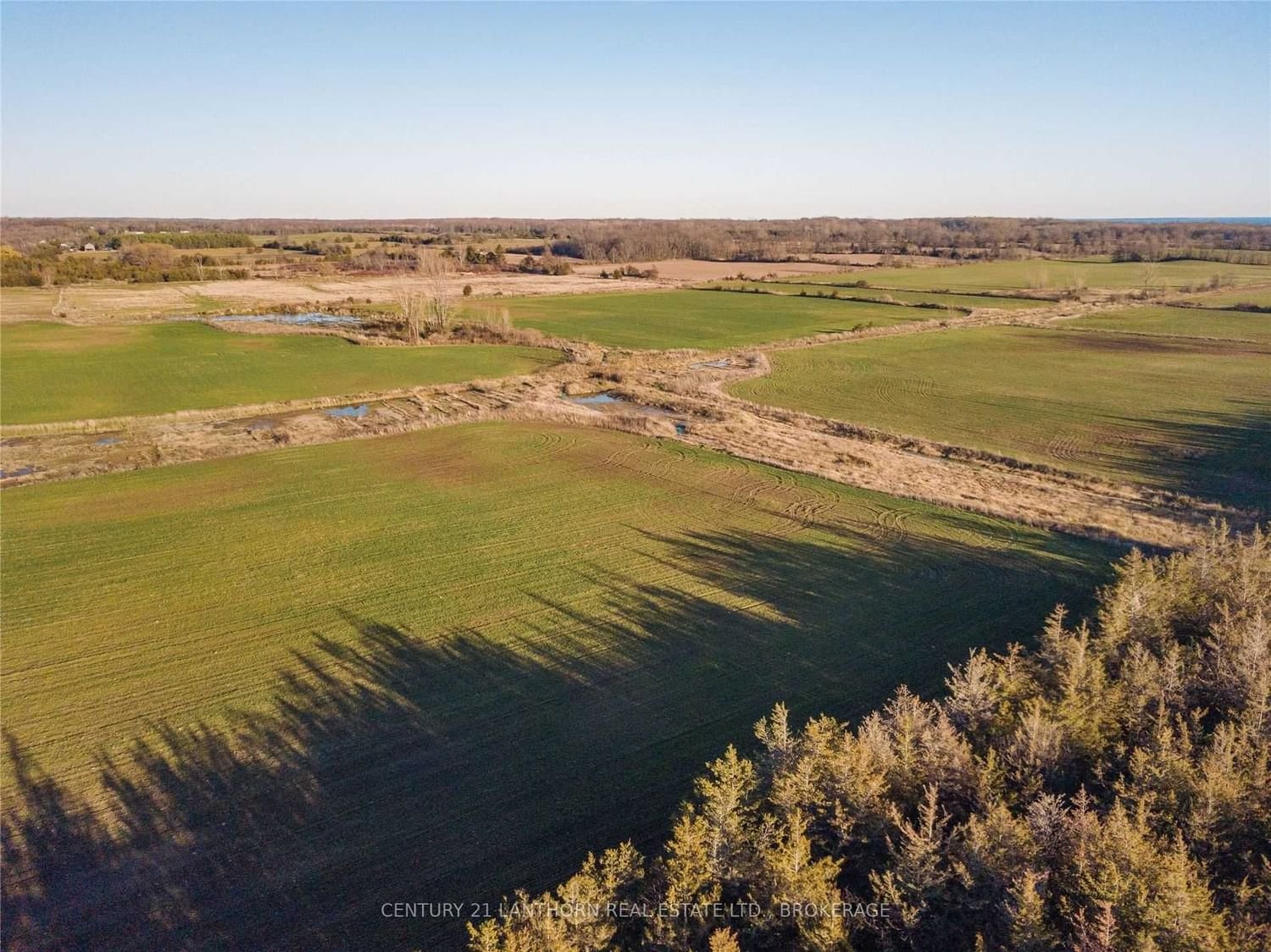 1244 County Road 7 for sale  - image #4