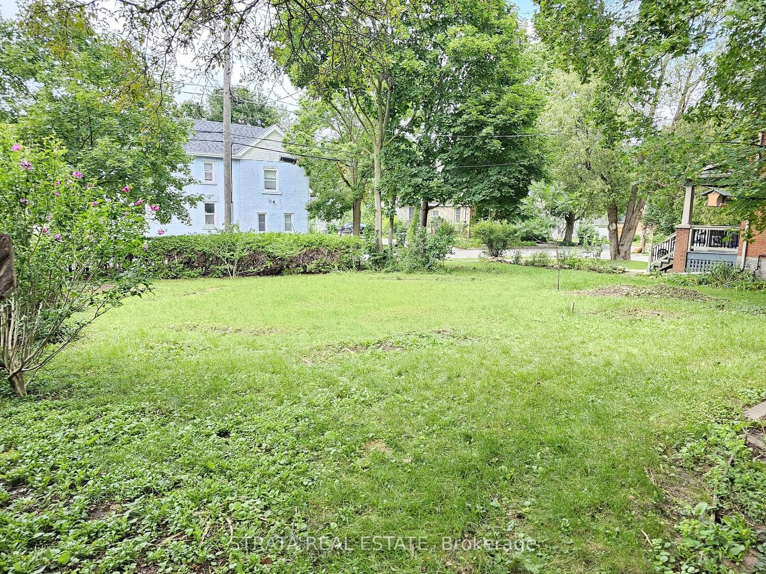 58 Martin Ave for sale in Old University - image #2