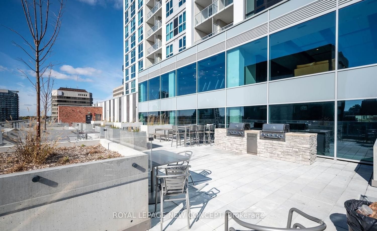 60 Frederick St, unit 202 for rent - image #11