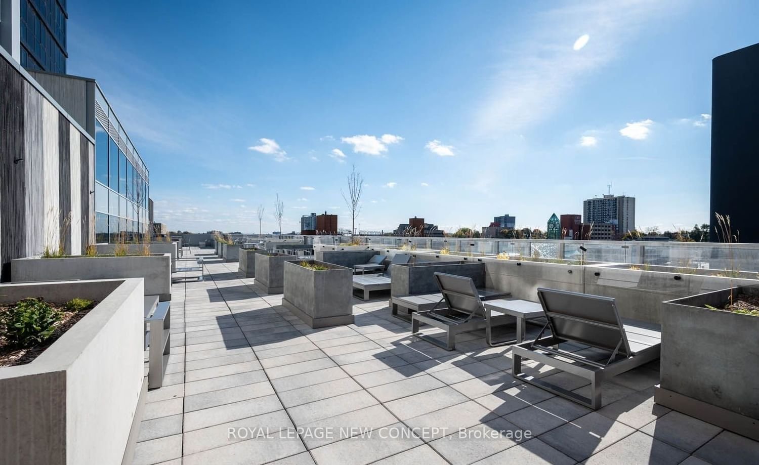 60 Frederick St, unit 202 for rent - image #12