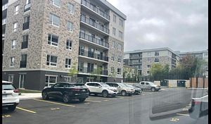 275 Larch St, unit G309 for rent