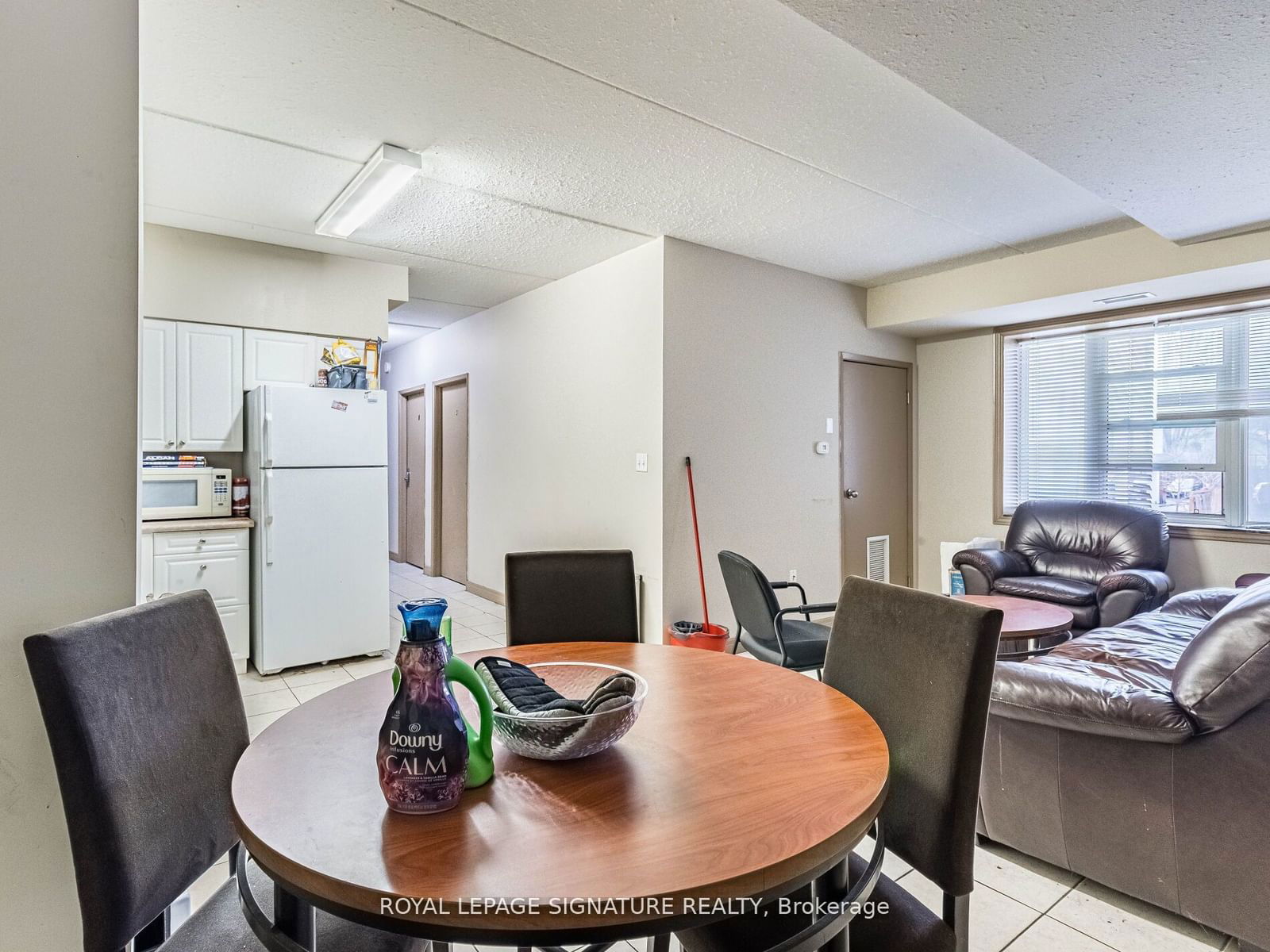 251 Lester St, unit 206 for sale - image #6