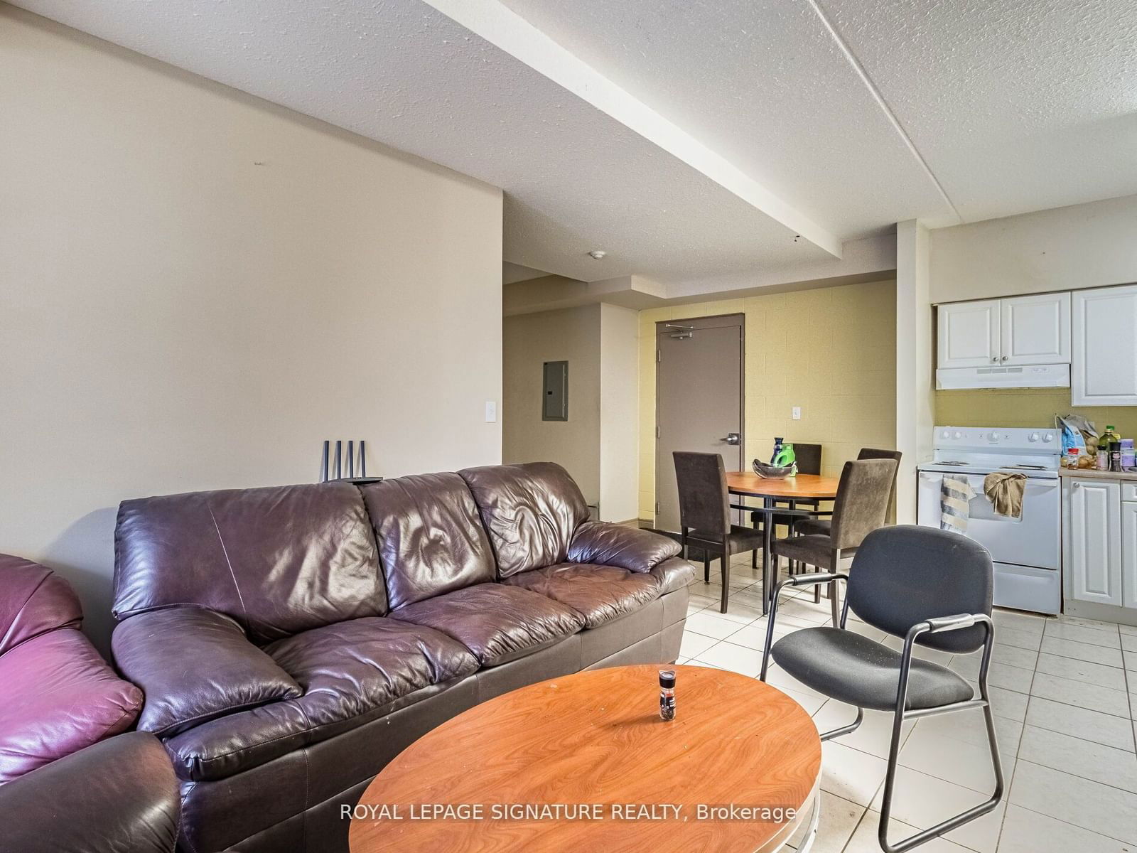 251 Lester St, unit 206 for sale - image #8