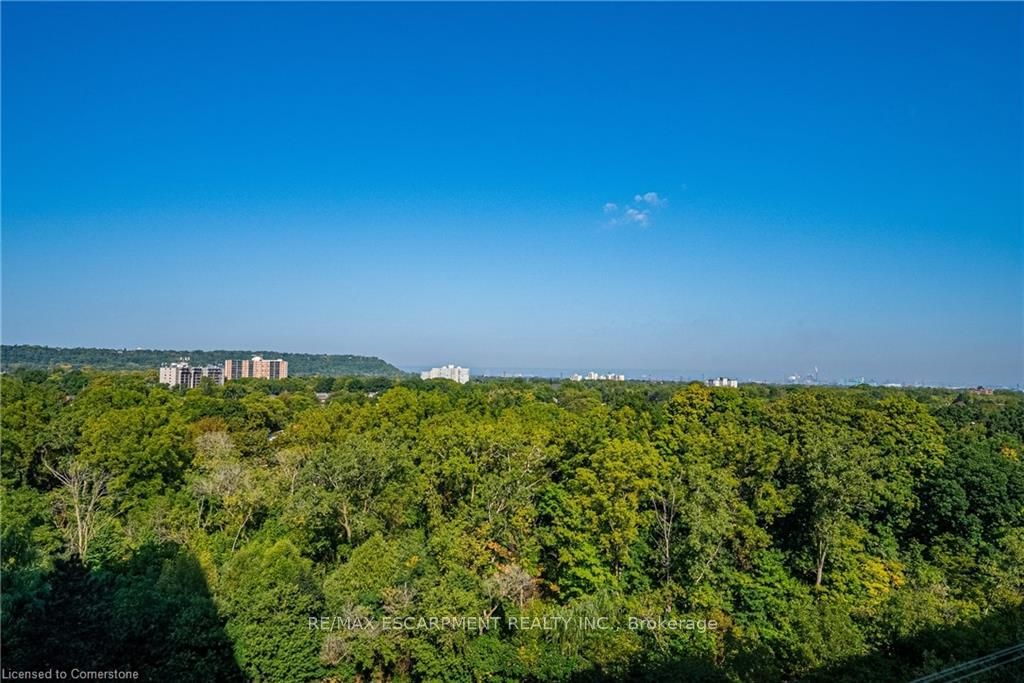 Parkview Terrace Condos, Hamilton, Toronto